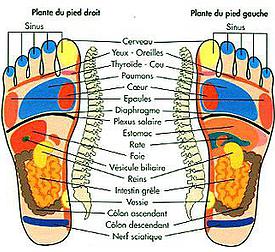 réflexologie plantaire